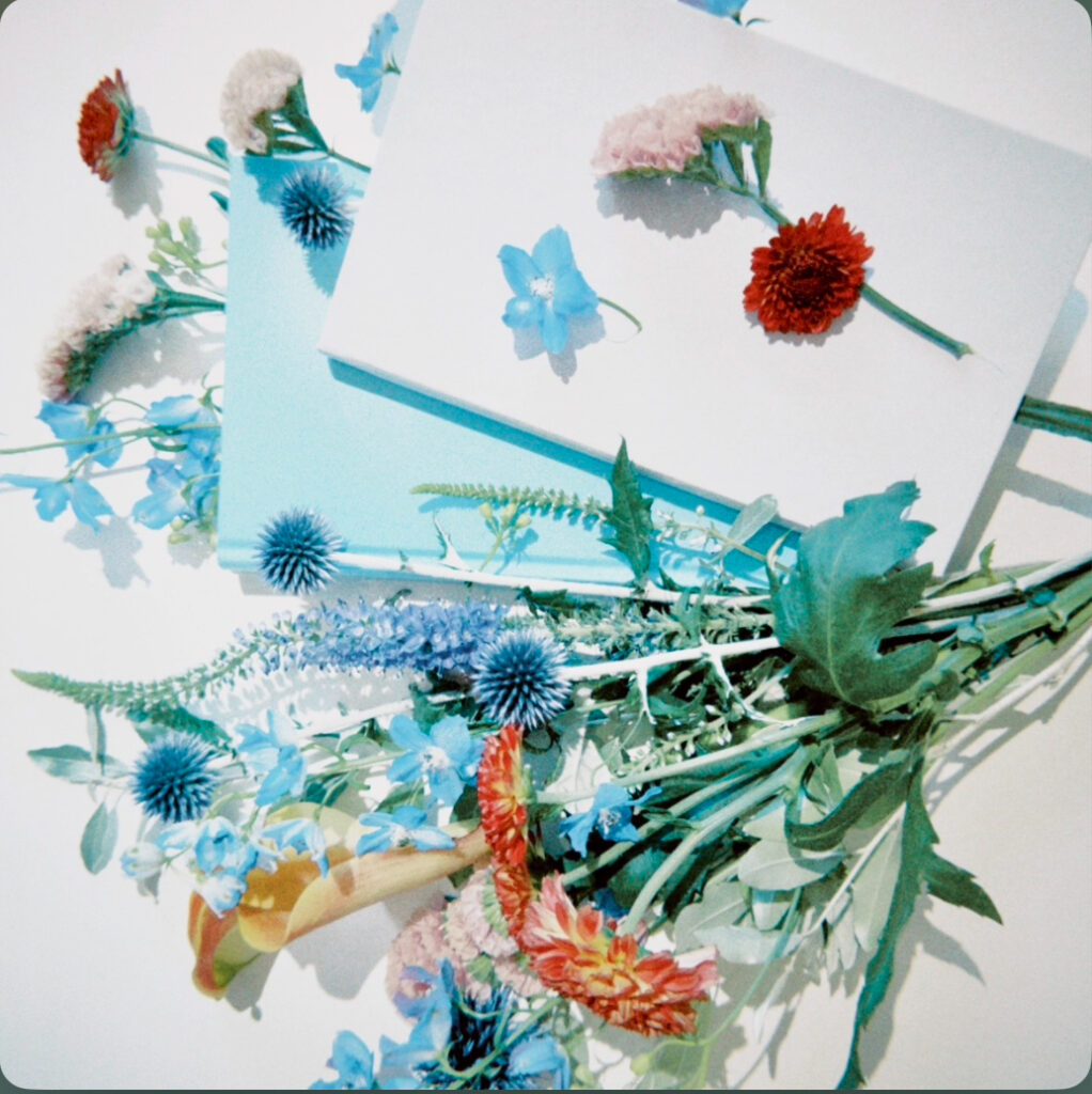 花遊記 / Foi